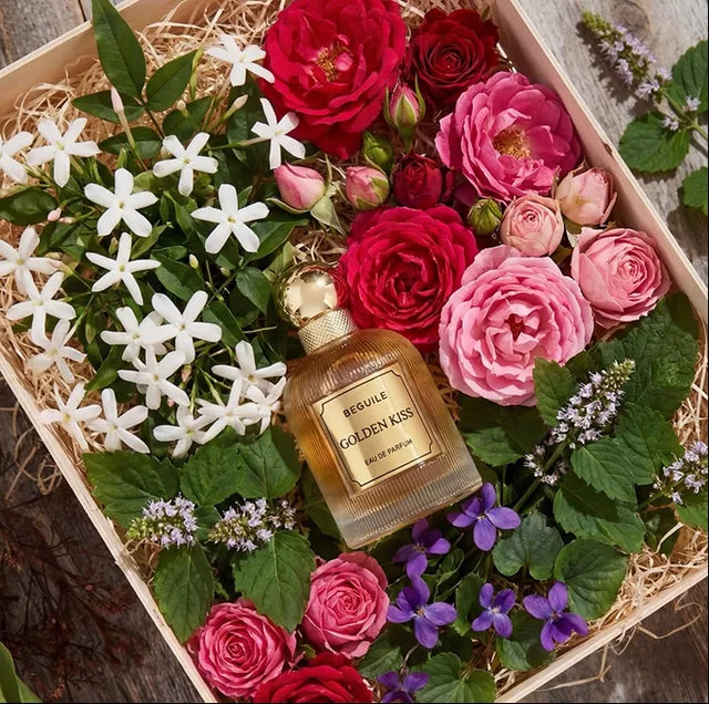 Golden Kiss among roses, jasmine and violets in a wooden crate